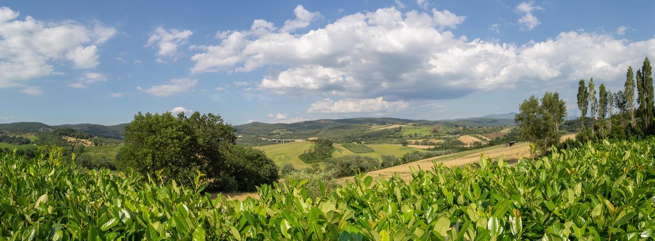 Agriturismo Dei Casali Амелиа Экстерьер фото